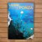 Vivere Ponza. Anno VIII° n. 3-4 Anno IX n. 1-2 (18)