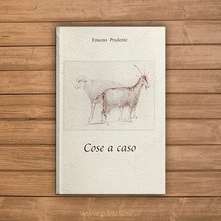 Cose a caso
