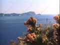 Il sole nella pelle