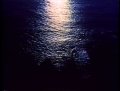 Il sole nella pelle