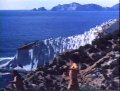 Il sole nella pelle