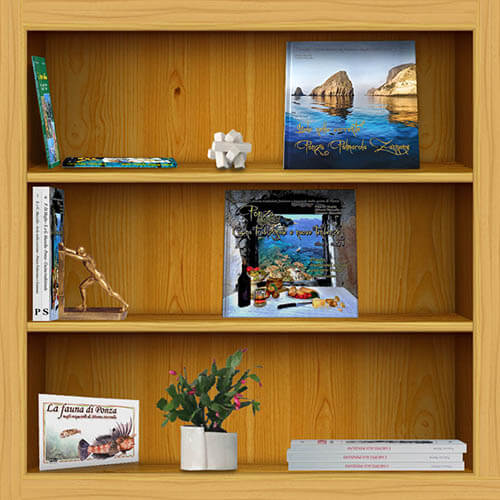 Bibliografia